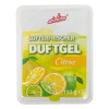 Airline Citrus Lufterfrischer