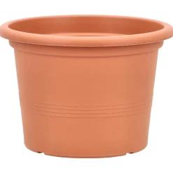 Blumentopf Campanula, terracotta, Ø = 20 cm